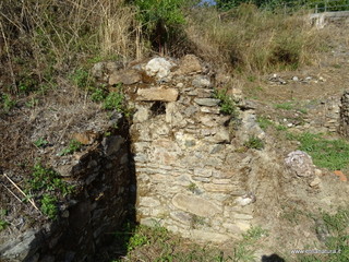 ifi-13-08-2020 08